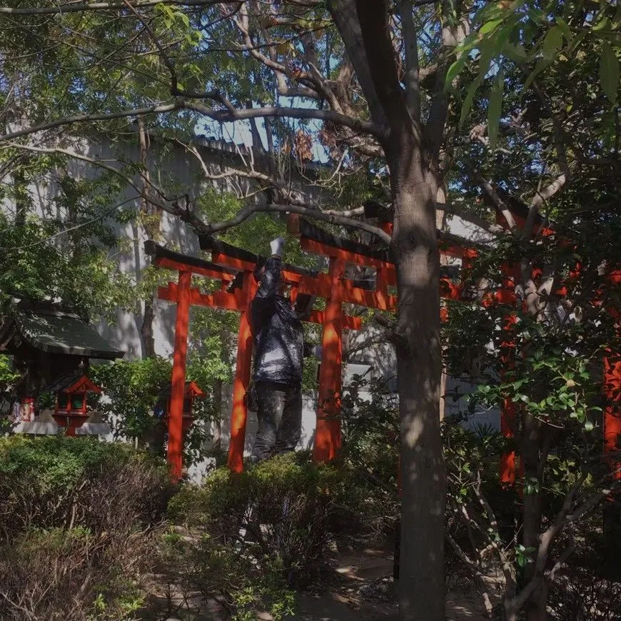 参道と灯籠を含む朱塗りの鳥居の全景